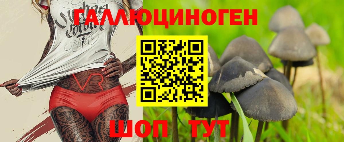 Москва  Галлюциногенные грибы Psilocybe  Вход с VPN 